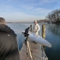 thumbs p1000665 Superflavor beim ersten SUP Test für Gleiten TV