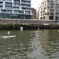 jever sup race amateure - Marie Wagner / Paloma Tobon
