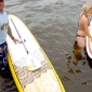 energy in the park - sup session