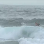 billabong asp girls billabong asp girls
