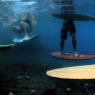 imaginarium reef video