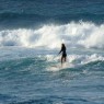 jenny surft wellenreiten maui superflavor