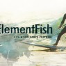 elementfish surf camp