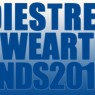 streetweartrends 2013