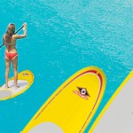 bic sup markt%C3%BCbersicht 2011 150x150 BIC SUP Boards 2009