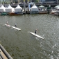 jever sup world cup 2010