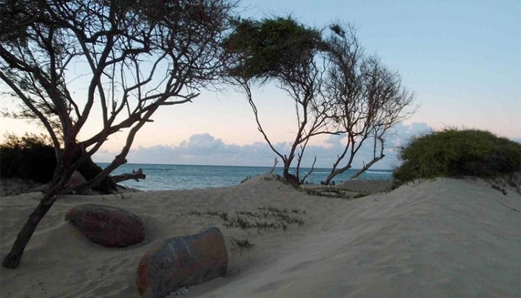jenny surft maui beach