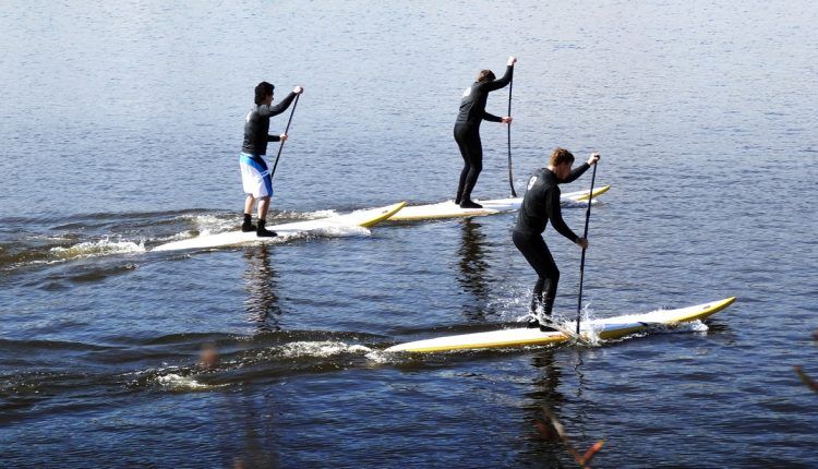 hamburger sup meisterschaft 2013 10