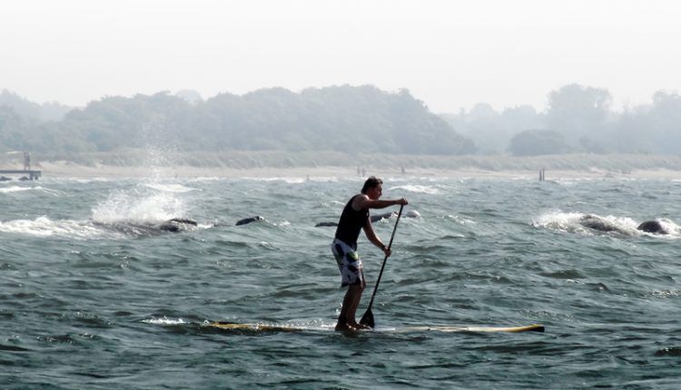 superflavor german sup challenge fehmarn 2013 12