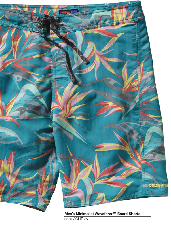 patagonia shorts 2014