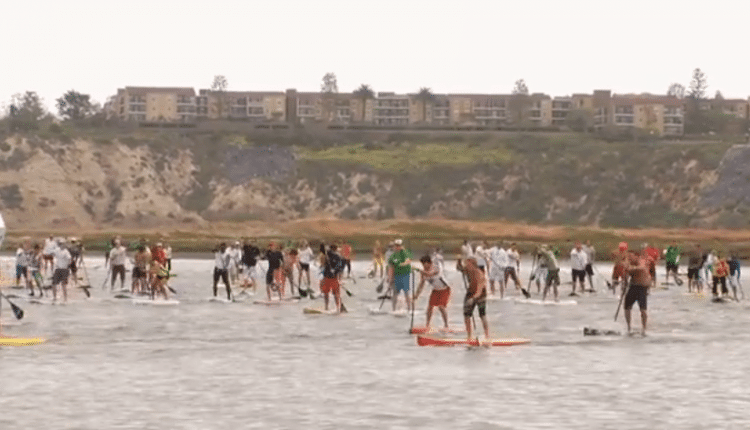 sup paddle blade size superflavor