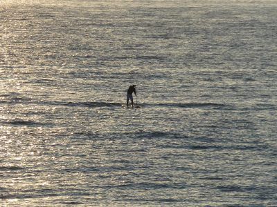 killerfish german sup challenge sylt 2014 158