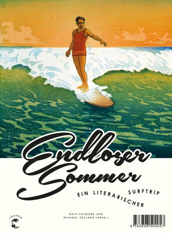 endloser sommer buch surfen