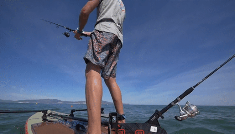 starboard sup fisher boat