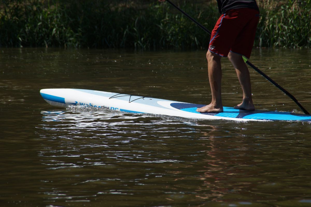 siren wahoo race board sup 04