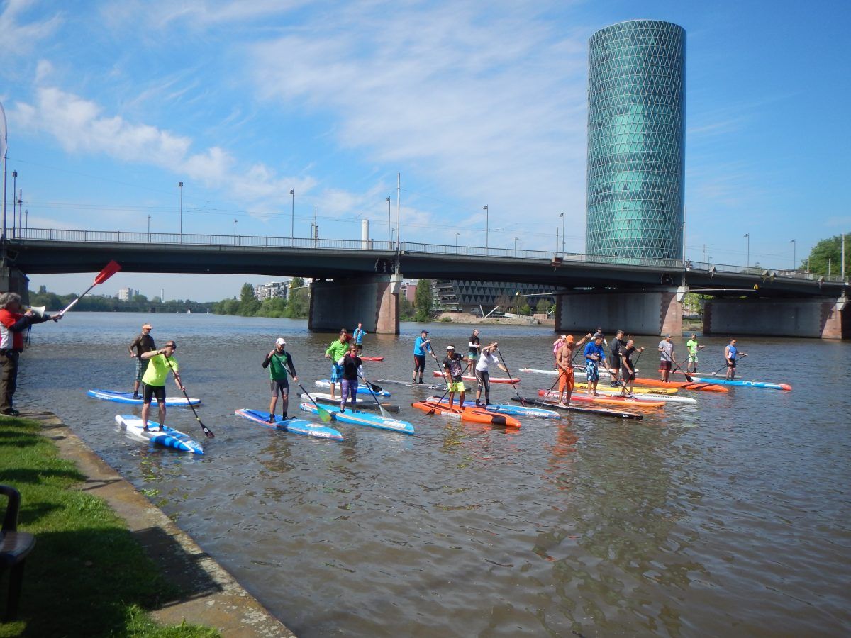 sup dm Stand Up Paddling flatwater