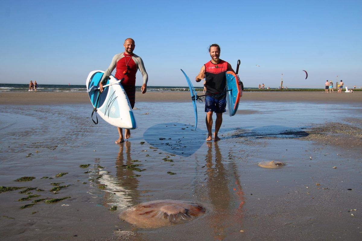 german sup challenge norderney 2018 37969197 1787557434614941 5069289095616790528 n