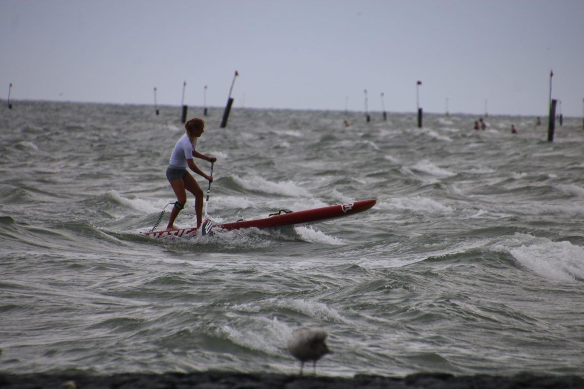 german sup challenge norderney 2018 38036943 1787556881281663 7120396129920876544 n