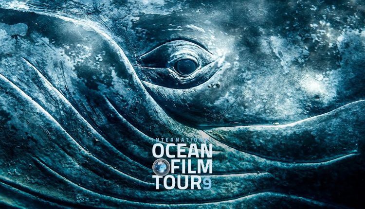 Video Thumbnail: International OCEAN FILM TOUR Volume 9 | Official Trailer